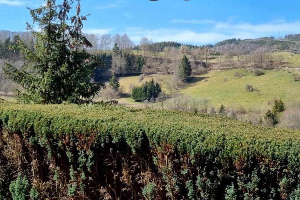 Ferienwohnung Aartalblick Willingen Willingen  Luaran gambar