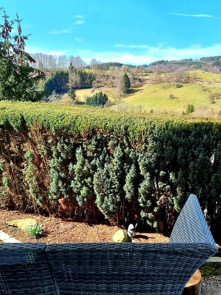 Ferienwohnung Aartalblick Willingen Willingen  Luaran gambar
